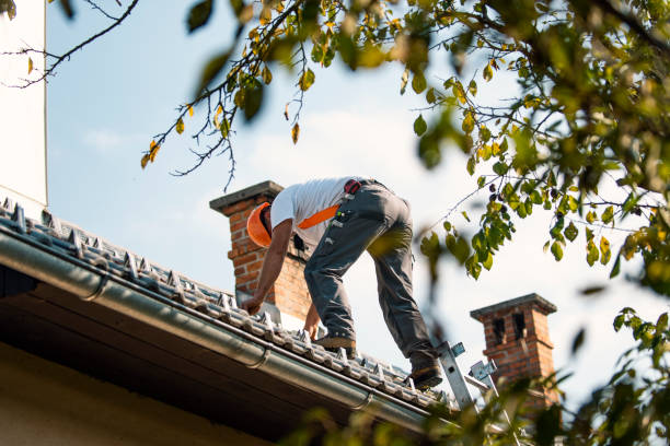 Best Storm Damage Roof Repair  in Congress, AZ